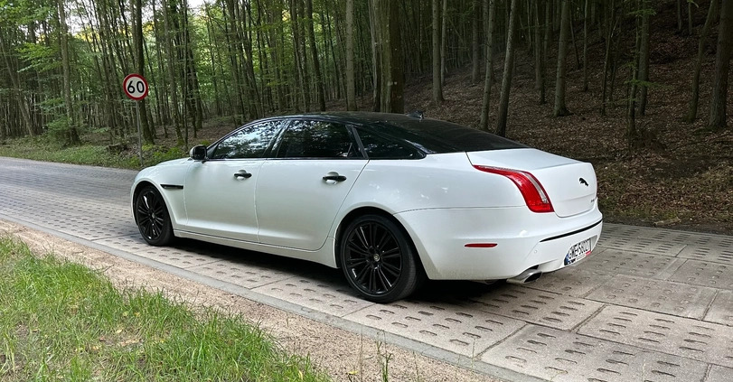 Jaguar XJ cena 99900 przebieg: 79000, rok produkcji 2015 z Barcin małe 596